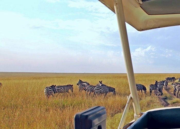 3 days masai mara safaris